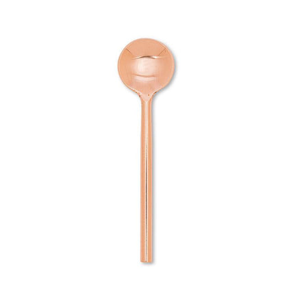 Modern Small Condiment Spoon