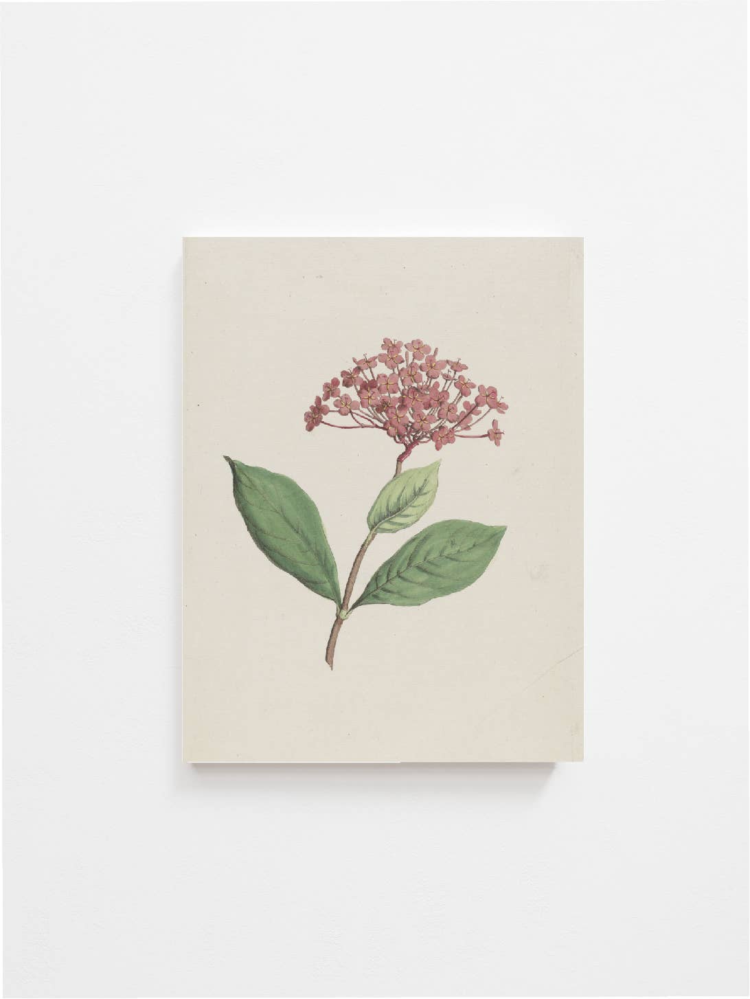 Floral Art Print