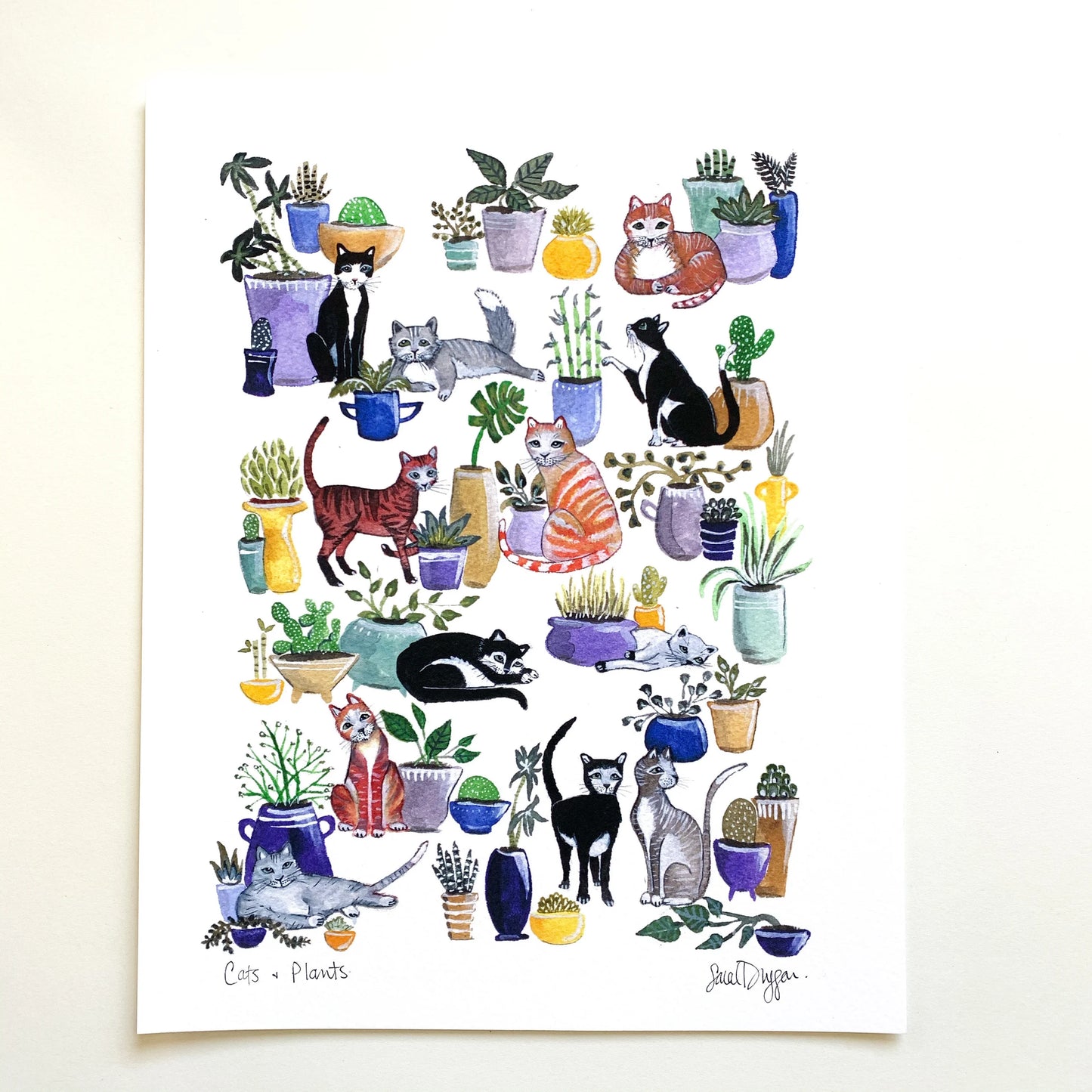 Cats & Plants—Greeting Card