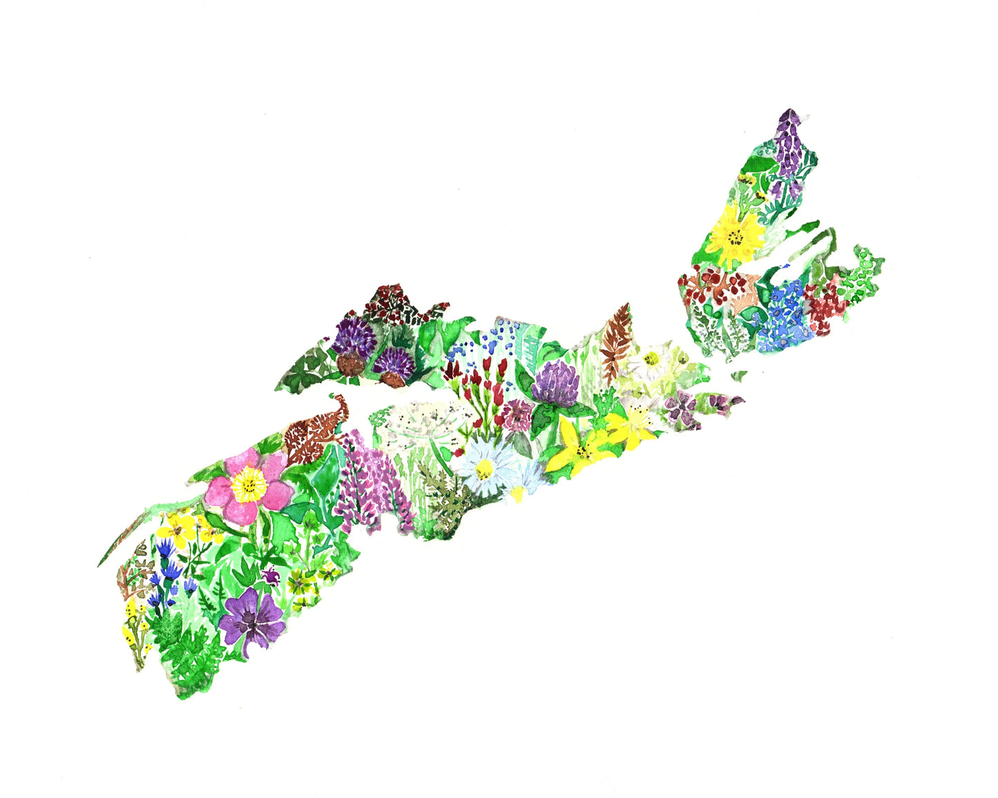 Nova Scotia's Wildflowers—Wall Print