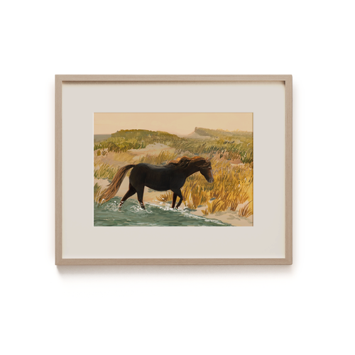 Sable Island Horse—Art Print