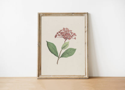 Floral Art Print