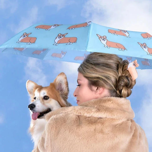 Corgi Mint Eco-friendly Compact Duck Umbrella