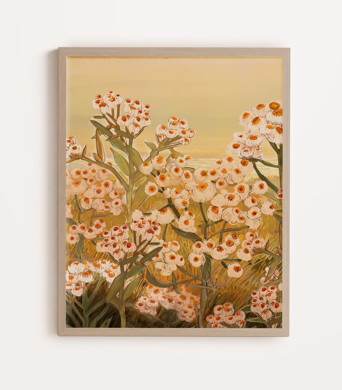 Pearly Everlasting  - Art Print